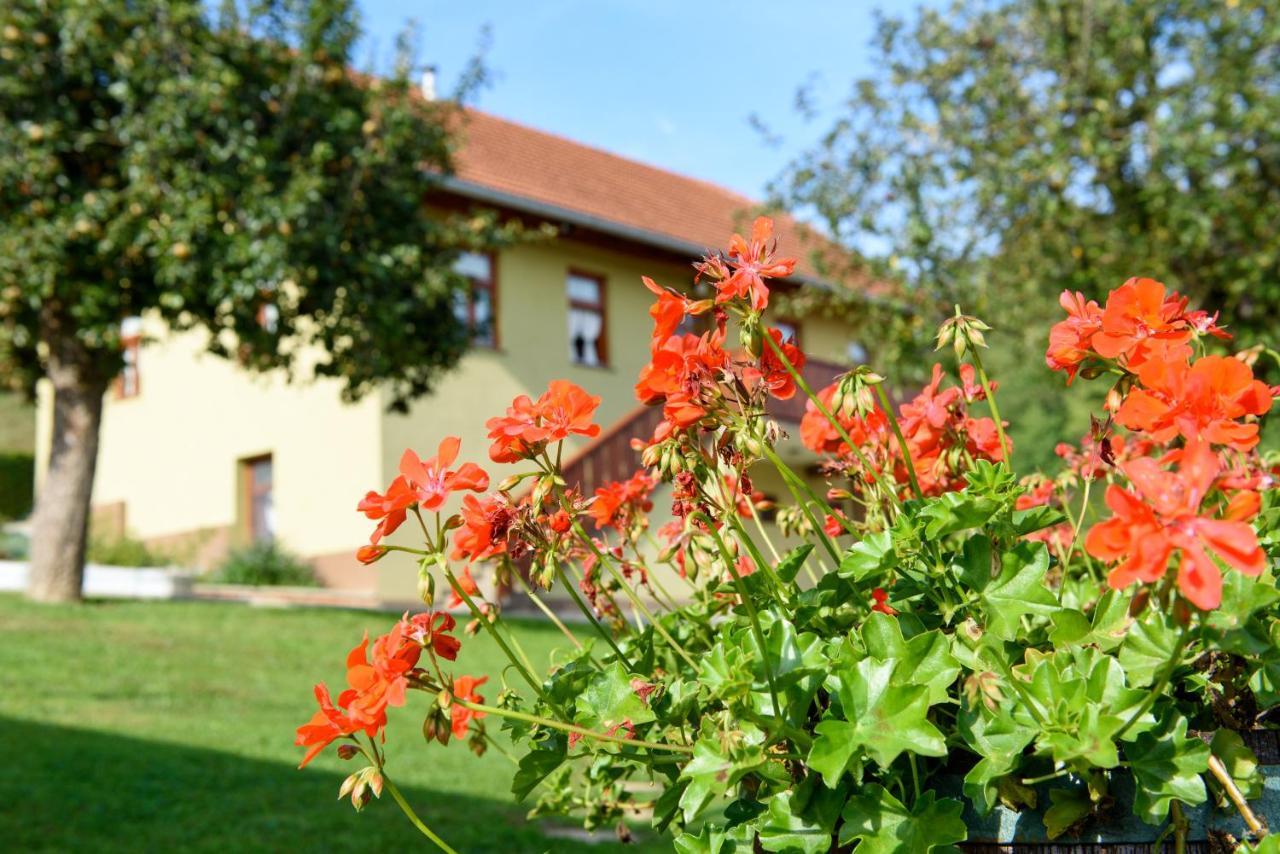 Ruralna Kuca 'Villa Zagorka' Za Odmor Sa Bazenom I Bocalistem Donja Pacetina Exterior foto